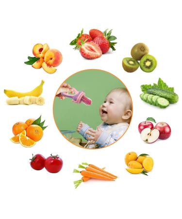 Baby Food Feeder Fresh Food - 2 Pack Fruit Feeder Pacifier Set | Silicone Pacifiers & Dispensing Spoon | Teether Feeding Set for Babies - Pink - Buy Online on GoSupps.com