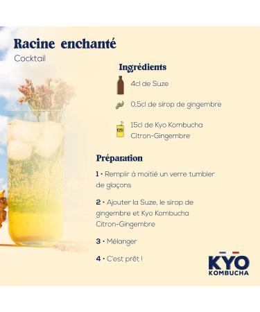 KYO Set of 8 Kombucha Organic Lemon Ginger Cans - Sparkling - Low Sugar - Alcohol Free and Artisan - Buy Online on GoSupps.com
