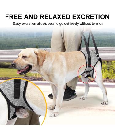 Hamon Portable Dog Harness for Hind Legs | Dog Lifting Aid for Older & Sick Dogs (Large) - Buy Online on GoSupps.com