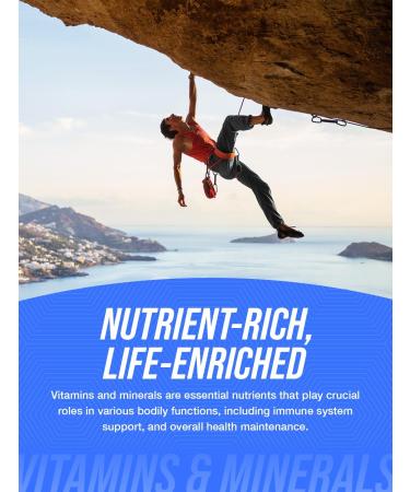 BulkSupplements.com Beta Glucan Powder - 1 3/1 6 Beta Glucan Supplements - Vegan & Gluten Free Supplement 250mg per Serving 1kg (2.2 lbs) (Pack of 1) 2.2 Pound (Pack of 1) - Buy Online on GoSupps.com