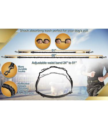 Premium 2-in-1 Jogging Leash & Normal Dog Leash for Medium & Large Dogs | Double Handle & Belly Belt for Jogging Hiking & Walking - Buy Online on GoSupps.com