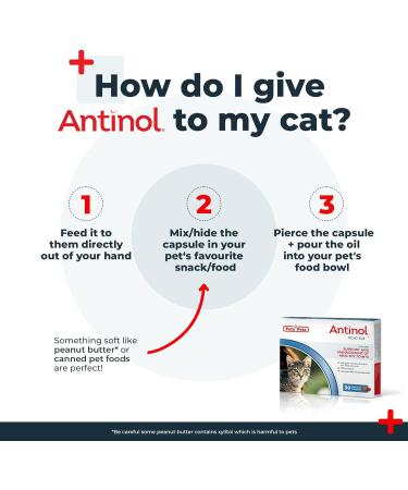 Antinol - Natural Joint Supplement for Adult Cats - Supports Joint Mobility & Skin Health - With Green Lipped Mussels Omega 3 & Vit E - 30 Capsules - Buy Online on GoSupps.com