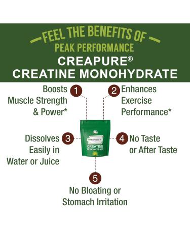 Creapure Creatine Monohydrate Powder. Ultra High Purity German Made Creatine with Nothing Else Added at All. Pure and Unflavored for Men & Women. Zero Bloating No Sugar Vegan Friendly Supplement - Buy Online on GoSupps.com