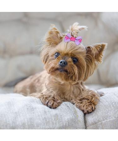 Comsmart 30 Pairs Pet Bows: Cute Dog Hair Bows with Metal Clips - 60Pcs Grosgrain Ribbons for Small to Medium Dogs - Buy Online on GoSupps.com