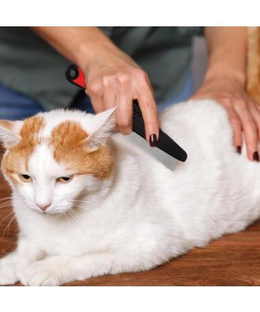 Professional Flea Comb for Dogs & Cats - Stainless Steel 2-Piece Pet Care Set for Lice Removal & Stain Protection - Buy Online on GoSupps.com