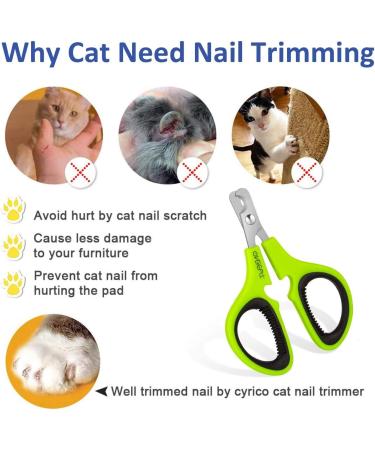 OneCut Pet Nail Clippers - Updated Claw Scissors for Cats Kittens & Small Dogs | Professional Nail Trimming Tools in Green - Buy Online on GoSupps.com