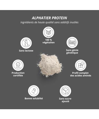 Alphatier Vegan Protein Powder - Vanilla - Protein Powder with 80% Protein - Vanilla Protein Powder - Soy Protein Isolate - 1kg - Buy Online on GoSupps.com