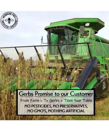 GERBS Raw Hemp Seed Kernels 2 LBS - Premium Grade, Freshly Harvested & Non-GMO | Plant Protein & Omega 3-6 | Keto & Paleo Friendly | Gluten & Peanut Free - Buy Online on GoSupps.com