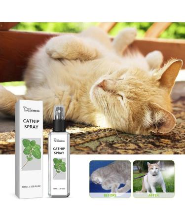 BOWTONG Herbal Joy Spray 100ml Catnip Spray For Indoor Cats Scratching Spray Herbal Pets Mist Celery Joy Spra Joy  - Buy Online on GoSupps.com