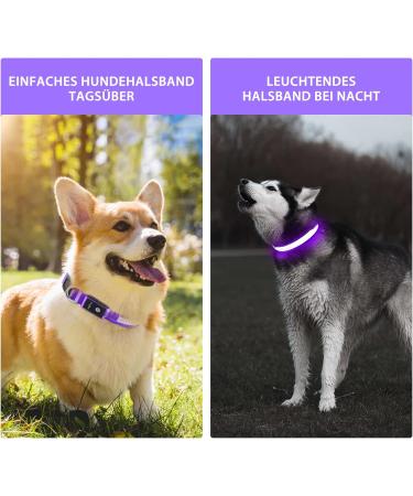 Bright Waterproof LED Dog Collar - Adjustable Luminous Neck Band for Small to Large Dogs | 7 Color Change Night Safety - Purple (38-50cm/15-19.7inch) 2022 - Buy Online on GoSupps.com