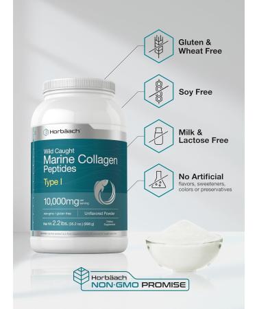 Horb ach Marine Collagen Peptides Powder 2.2 lb | for Skin Hair and Nails | Type I Hydrolyzed Fish Collagen | Unflavored | Keto Paleo Non-GMO Gluten Free Supplement - Buy Online on GoSupps.com