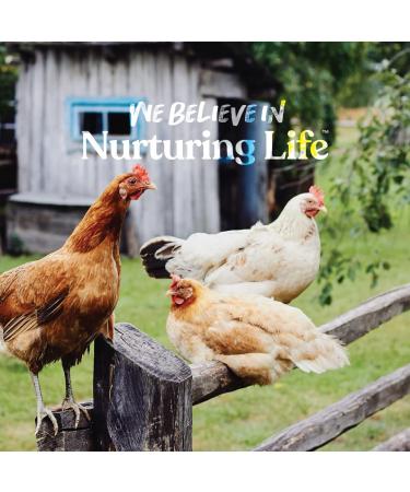 Manna Pro Coop 'N Compost Chicken Coop Supplies 28 oz - Manna Pro Chicken Feed - Buy Online on GoSupps.com