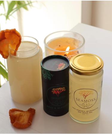 Premium Raw Sea Moss (Gold) 1kg - Pack of 1 | High-Quality Superfood - Buy Online on GoSupps.com