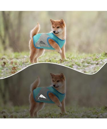 Dog Cooling Vest - Lightweight & Breathable Summer Jacket for Small to Medium Dogs | Reflective Stripes & ICE Cooling T-Shirt in Green - Buy Online on GoSupps.com