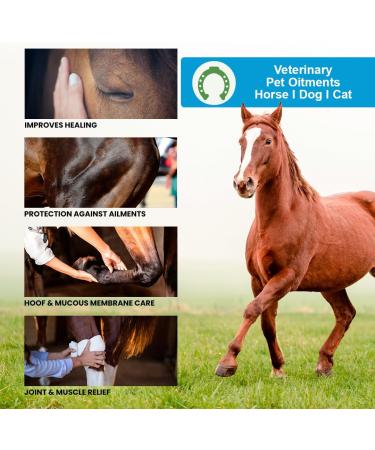  bleu & marine Bretania Pferdebalsam Extra Strength Horse Balm Massage Gel for Muscles and Joints Relaxing Body Massage Cream for Sports Before and After Training - 300 ml - Buy Online on GoSupps.com