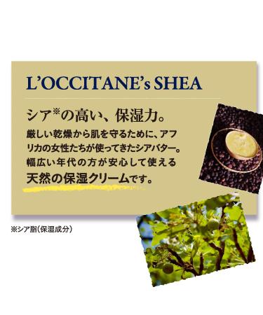 L'Occitane Ultra-Rich 10% Shea Butter Nourishing Lip Balm | Hydrating Lip Care | 0.39 fl oz | International Shipping - Buy Online on GoSupps.com