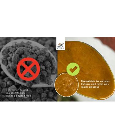 BEEGHEE Bioactive Hive-Fermented Functional Nutrition for Gut Health & Energy | 100% Natural Bee Bread with Fermented Pollen Raw Honey & Propolis | 9oz Jar (Tangy Original) - Buy Online on GoSupps.com