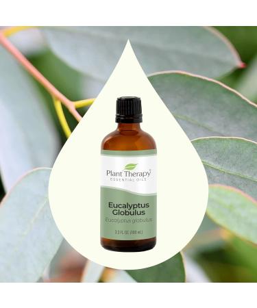 Buy Plant Therapy Eucalyptus Globulus Essential Oil 100 mL - 100% Pure Undiluted Ideal for Diffuser Skin Hair Aromatherapy and Clear Breathing - Buy Online on GoSupps.com