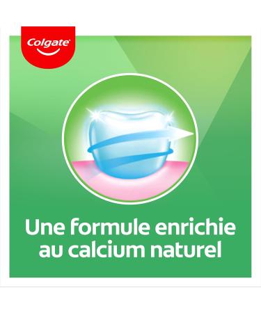 Colgate Intense Freshness Chlorophyll Toothpaste - 96% natural ingredients - Effective protection against cavities and plaque - pack of 12 x 75 ml - Buy Online on GoSupps.com