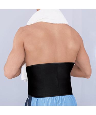 Adjustable Contoured Back Support - Ace - 0.50 lbs - Buy Online on GoSupps.com