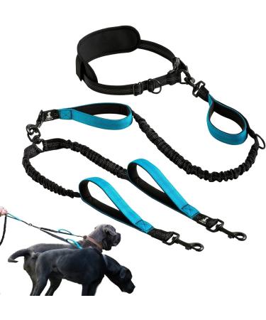 KAYTOW Hands Free Double Dog Leash Dual Dog Leash for Medium and Large Dogs Dog Leash for 2 Dogs with Padded Handles Reflective Stitches No Pull Tangle Free (Blue for 2 Dogs)