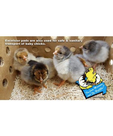 Cackle Hatchery Laying Hen Nest Box Pads - 13x13 (6 Pack) | Premium Quality - Buy Online on GoSupps.com