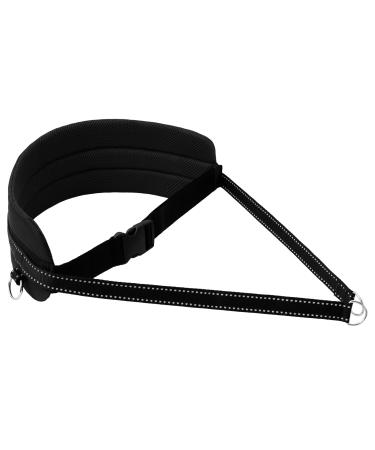 LASALINE belly belt for dog leash Canicross Dogtrekking Ski-J ring Tours Dog Sports in Black
