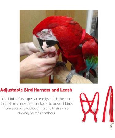 Felenny Bird Dishes & Adjustable Leash - Essential Outdoor Accessories for Scarlet Red Ara Sun Conure & Nymphensittich - Small Anti-Bite Solutions - Buy Online on GoSupps.com