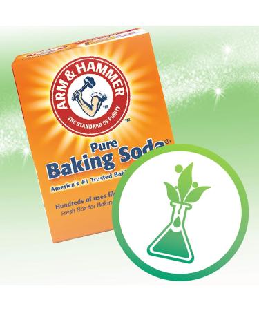 Arm & Hammer Natural Essence Fresh Scent Deodorant 2.5 oz - Long-Lasting Odor Protection - Buy Online on GoSupps.com