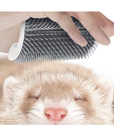 SunGrow Self-Grooming Brush for Ferrets & Cats | Light Gray Massager | Mountable to Corners & Surfaces | Includes Brush, Catnip, Screws & Tape | 1-pc - Buy Online on GoSupps.com