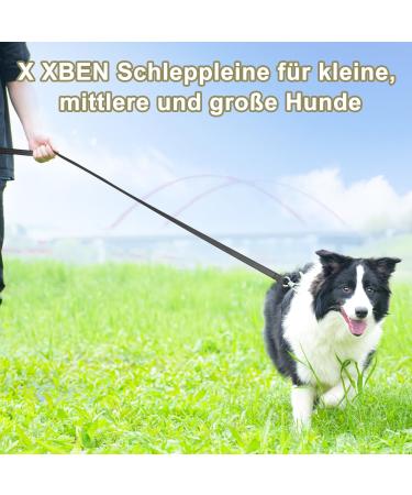 X Xben 20m Dog Tow Lines - Robust Reflective Leash with Lockable Carabiner for Small & Medium Dogs - 2cm Width Perfect for Training & Running - Buy Online on GoSupps.com