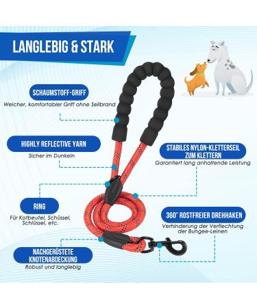 Eyein Double Dog Leash for 2 Small & Medium Dogs Flexible Reflective Tangle-Free with 2 Padded Handles for 3-16kg Dogs (Red) - Buy Online on GoSupps.com
