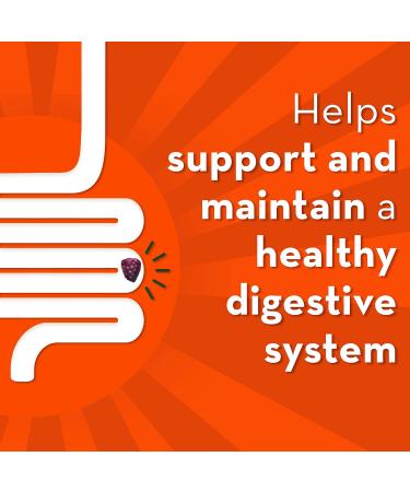 Align Advanced Probiotic Digestive Support IBS Symptom Relief : Gas Abdominal Discomfort & DUALBIOTIC PREbiotic + PRObiotic Gummies Helps Support a Healthy Digestive System - Buy Online on GoSupps.com