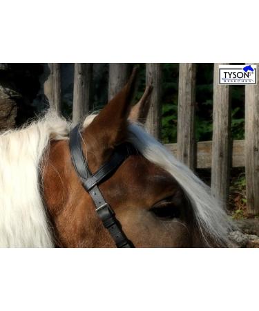 Buy Tysons Breeches Cavesson Leather - Extra Large Coldblood X-Full XX Full with Bit Attachment | Premium Quality Horse Tack - Buy Online on GoSupps.com