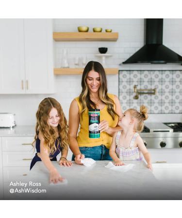 Weiman Granite Disinfectant Wipes - 2 Pack - 30 Wipes with Polishing Cloth - Clean, Disinfect, and Shine Sealed Granite & Stone Countertops - Buy Online on GoSupps.com