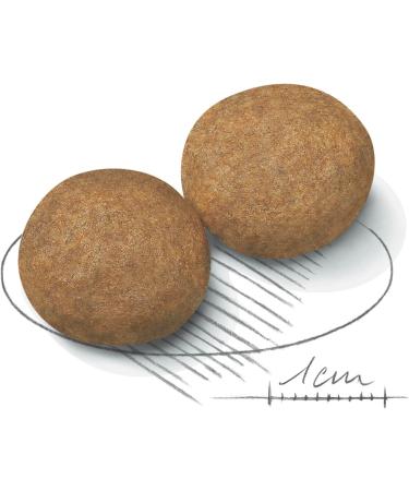 ROYAL CANIN 15kg Medium Adult Dry Dog Food - Buy Online on GoSupps.com