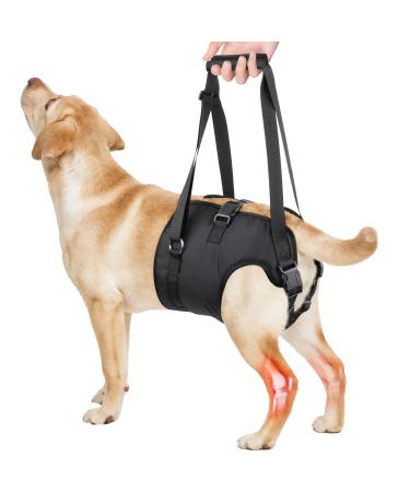 PZRLit Dog Lift Harness - Adjustable Mobility Aid Sling for Large Dogs' Hind Legs Perfect for Elderly and Disabled Dogs - Hip & Back Leg Support Vest for Walking Assistance Large