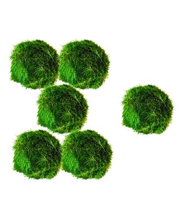 Marimo Moss Balls Aquarium Aquatic Plant Easy Betta Shrimp Java (5 +1 Free) 5 (+1 Free) - Buy Online on GoSupps.com
