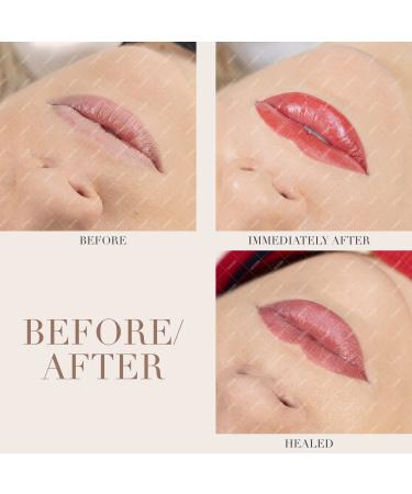 Biotek Lip Pigment Kit for Permanent Makeup - Made in Italy | 5 PC Lip Kit | International Shipping - Buy Online on GoSupps.com