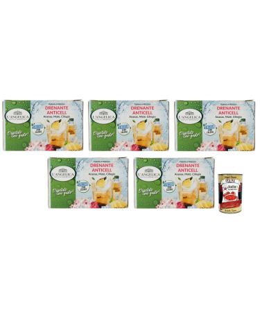 Italian Gourmet E.R. Angelica Anticellent Cold Tea Set of 5 iced herbal teas with citrus notes of grapefruit and sweet notes of pineapple and cherry 18 filters + 400g box. Gourmet Italian Polpa di Pomodoro