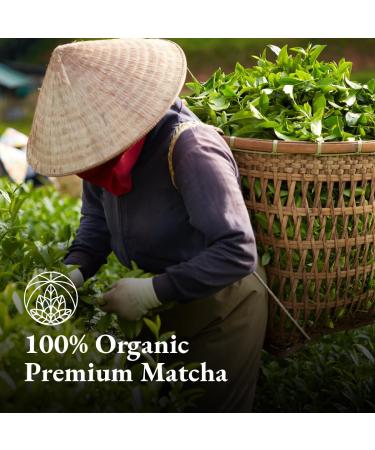 Monte Nativo Organic Matcha Powder (100g) - Premium Grade Japanese Matcha Tea for Latte and Green Tea - Macha - Buy Online on GoSupps.com