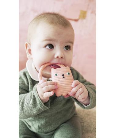 Le Chat International Shipping - Premium Pet Products for Your Feline Friends - Buy Online on GoSupps.com