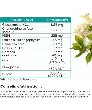GRANIONS - Chondrosteo + Articulations - Harpagophytum - Glucosamine Chondro tine - MSM - Bambou - 90 unit s - 1 Mois - Buy Online on GoSupps.com