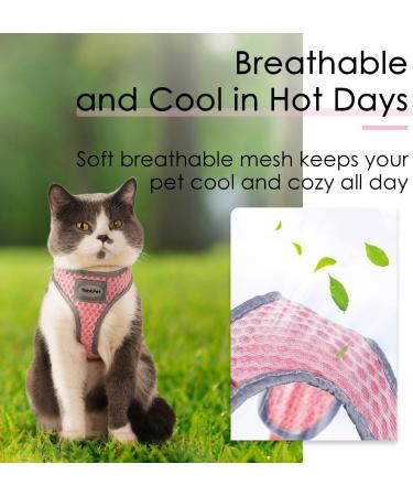 Thinkpet No-Pull Dog Harness Leash Set | Breathable & Adjustable for Small Medium Large Dogs | Safe Control Padded Reflective - Pink - Buy Online on GoSupps.com