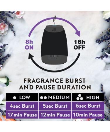 Air Wick Essential Oils Diffuser Mist Refill Fresh Water Breeze 1ct - Air Freshener - Buy Online on GoSupps.com