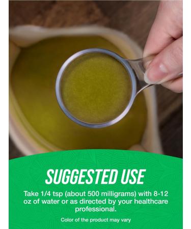 BulkSupplements.com Bacopa Extract Powder - Bacopa Monnieri Supplement Herbal Supplement - Vegan & Gluten Free 500mg per Serving 100g (3.5 oz) (Pack of 1) 3.53 Ounce (Pack of 1) - Buy Online on GoSupps.com