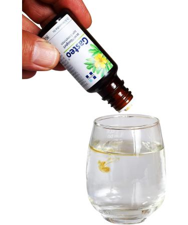Gasteo Stomach Drops - 50ml | 6 Unique Gastrointestinal Medicinal Plants for Instant Relief - Shop Internationally - Buy Online on GoSupps.com