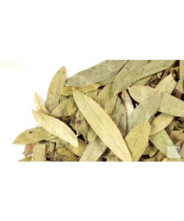 RAW HERB/JADI BOOTI RASNA LEAVES RASNAI LEAF RAY SANAY PATTA RAI SENNA PLUCHEA LANCIOLATA (500gm) 100 g (Pack of 1)