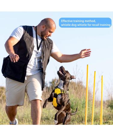 Dog Whistle to Stop Barking 2 Pcs Professional Recall Dog Training Tools with Adjustable Frequencies Ultrasonic Silent Dog Training Whistle with Black Lanyard - Buy Online on GoSupps.com