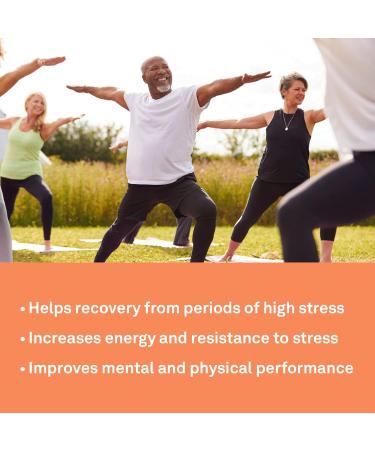 Organika Siberian Tiger Ginseng 200mg- Eleutherococcus Senticosus- Adaptogenic Immune Support Fatigue Support- 200caps 200 g (Pack of 1) - Buy Online on GoSupps.com